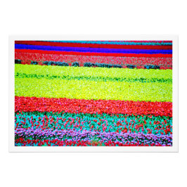 Erweiterung des Fotos Fotodruck