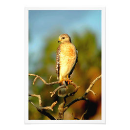 Erweiterung des Fotos Fotodruck