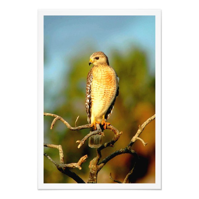 Erweiterung des Fotos Fotodruck (Vorne)