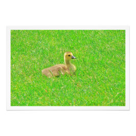 Erweiterung des Fotos Fotodruck