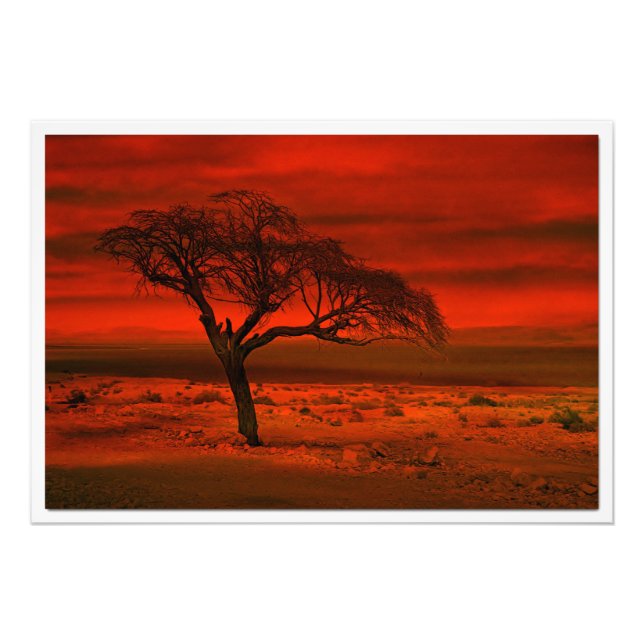 Erweiterung des Fotos Fotodruck (Vorne)