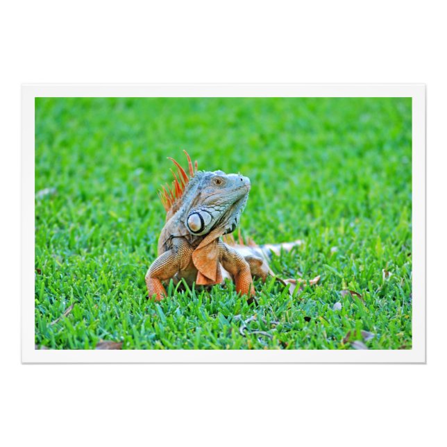 Erweiterung des Fotos Fotodruck (Vorne)