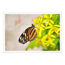 Erweiterung des Fotos