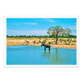 Erweiterung des Fotos Fotodruck