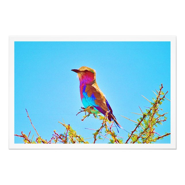 Erweiterung des Fotos Fotodruck (Vorne)