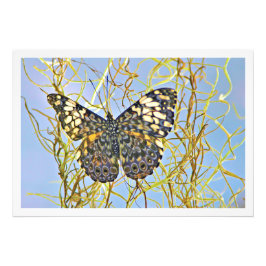 Erweiterung des Fotos Fotodruck