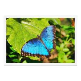 Erweiterung des Fotos Fotodruck