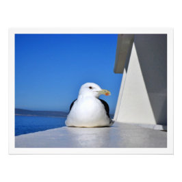 Erweiterung des Fotos Fotodruck