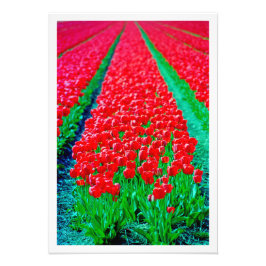 Erweiterung des Fotos Fotodruck