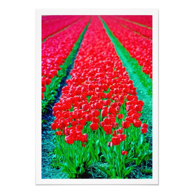 Erweiterung des Fotos Fotodruck (Vorne)