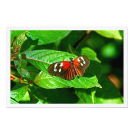 Erweiterung des Fotos Fotodruck