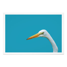 Erweiterung des Fotos Fotodruck