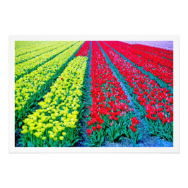 Erweiterung des Fotos Fotodruck