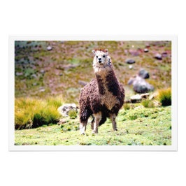 Erweiterung des Fotos Fotodruck