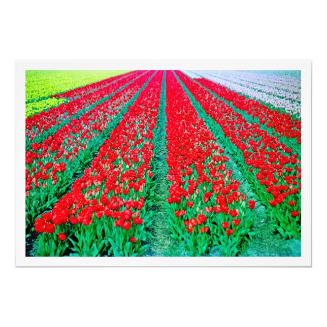 Erweiterung des Fotos Fotodruck (Vorne)