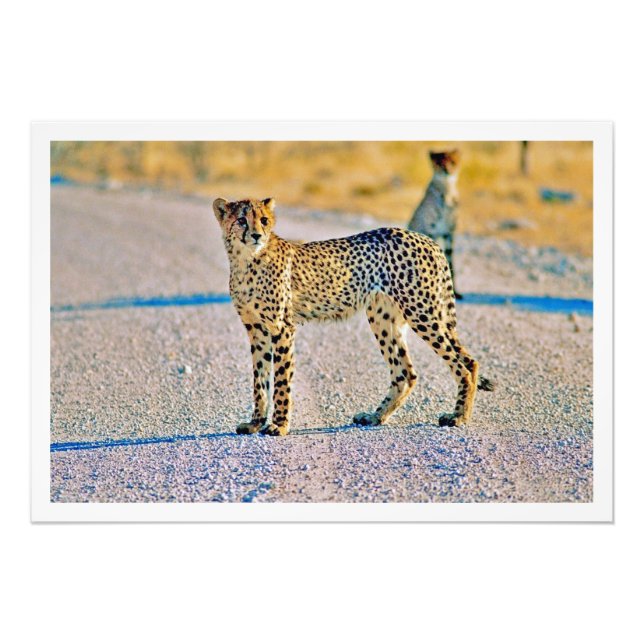 Erweiterung des Fotos Fotodruck (Vorne)