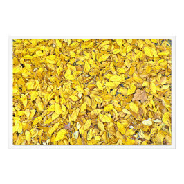 Erweiterung des Fotos Fotodruck