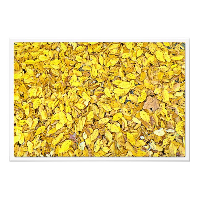 Erweiterung des Fotos Fotodruck (Vorne)