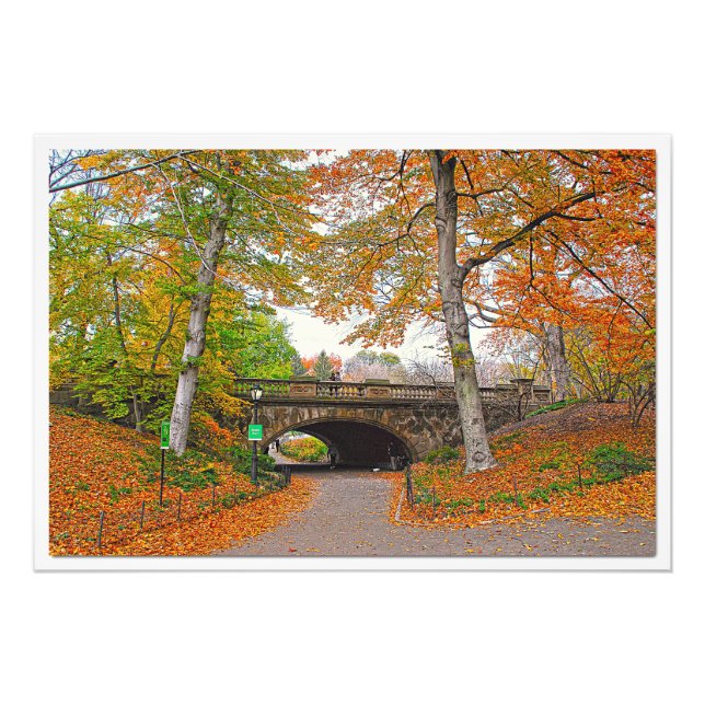 Erweiterung des Fotos Fotodruck (Vorne)