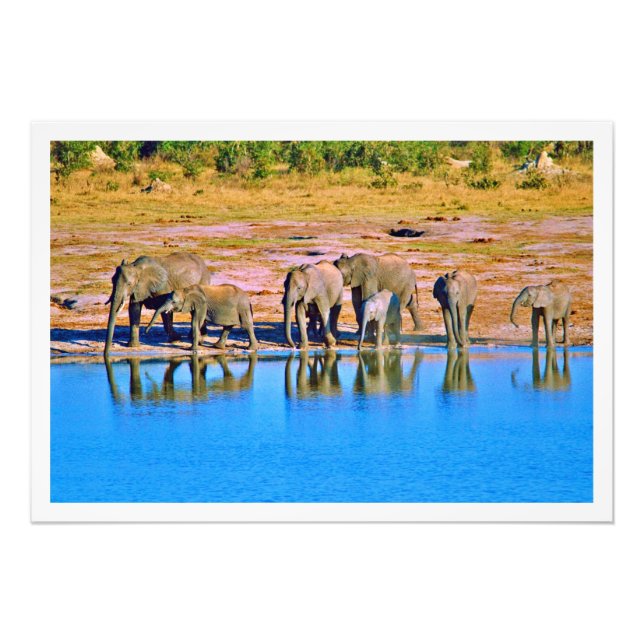 Erweiterung des Fotos Fotodruck (Vorne)