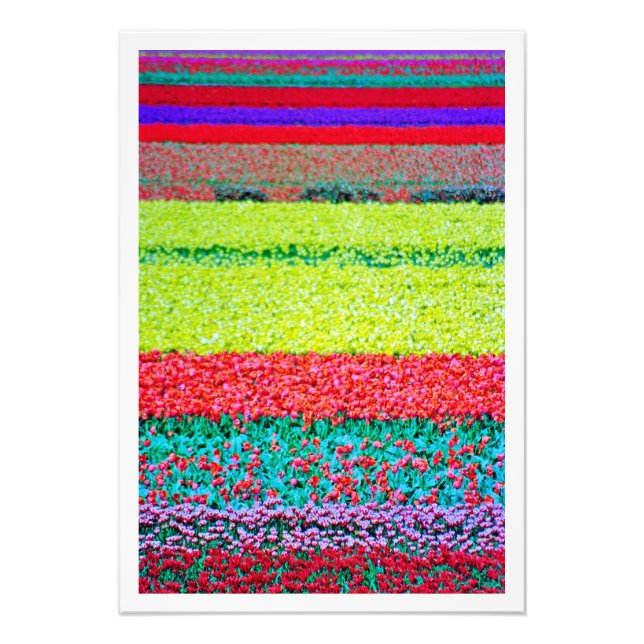 Erweiterung des Fotos Fotodruck (Vorne)