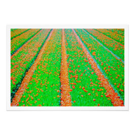 Erweiterung des Fotos Fotodruck