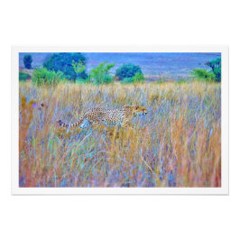 Erweiterung des Fotos Fotodruck