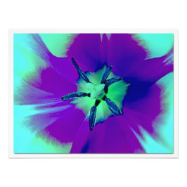 Erweiterung des Fotos Fotodruck