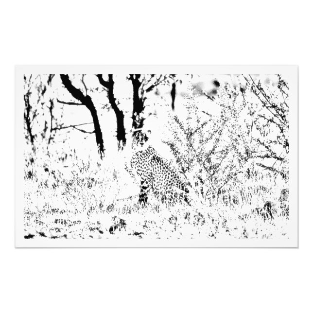 Erweiterung des Fotos Fotodruck (Vorne)