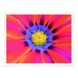 Erweiterung des Fotos Fotodruck