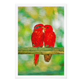 Erweiterung des Fotos Fotodruck