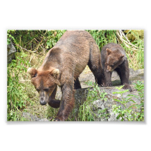 Erweiterung des Fotos Fotodruck