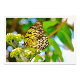 Erweiterung des Fotos Fotodruck