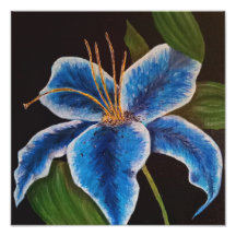 Erweiterung des Fotos