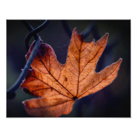 Erweiterung des Fotos im Herbst