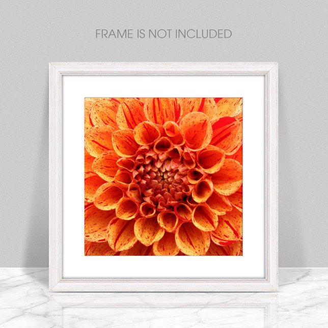 Erweiterung des Orange-Blume-Fotos nah Fotodruck (Von Creator hochgeladen)