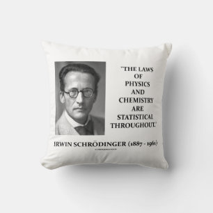 Erwin Schrödinger Physik Chemie Statistisch Kissen