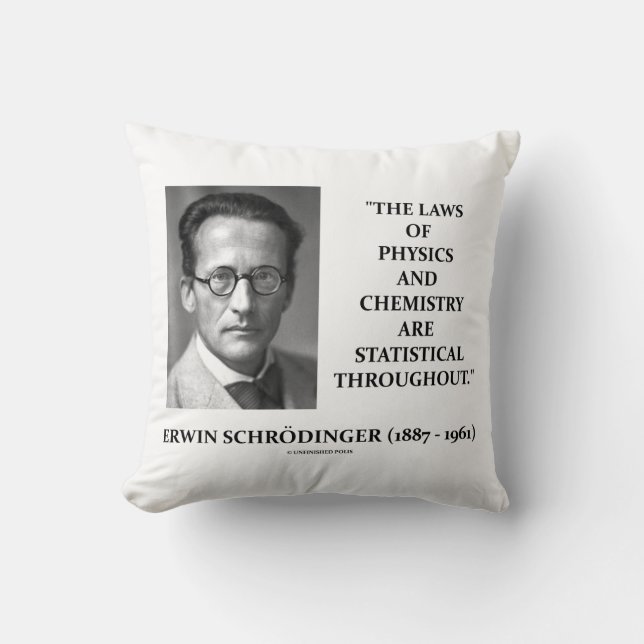 Erwin Schrödinger Physik Chemistry Statistical Kissen (Vorderseite)