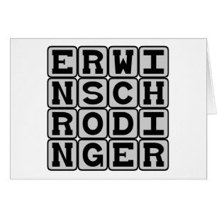 Erwin Schrodinger, Quantentheoretiker