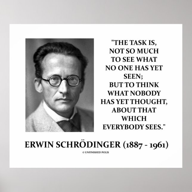 Erwin Schrödinger Task "Thunfisch bis heute denken Poster (Vorne)