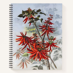 Erythrina Blume Wasserfarbe, Geschenkfarbe Notizbuch