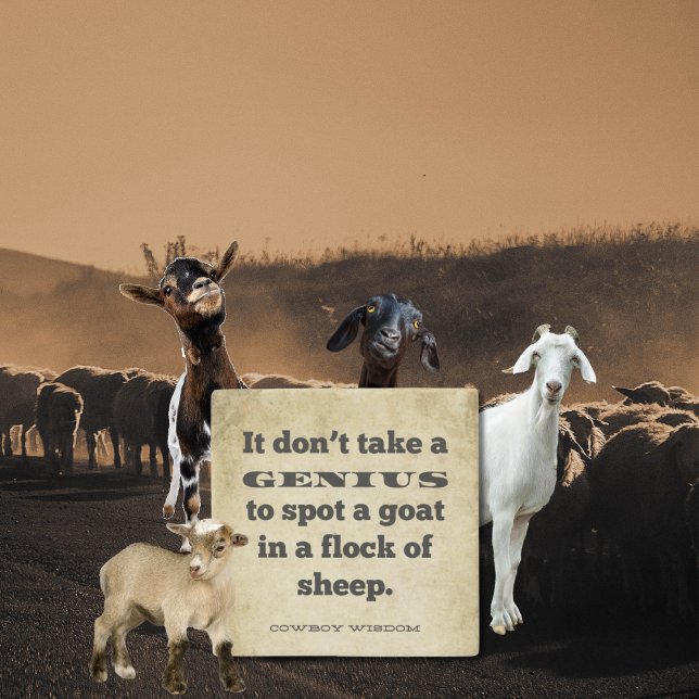 Es braucht keine | Cowboy Wisdom | Südliche Zitate Steinuntersetzer (Von Creator hochgeladen)