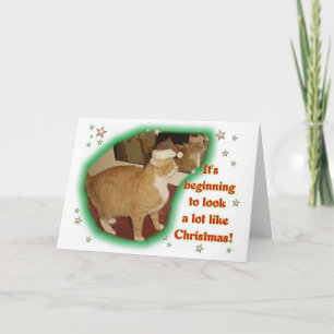 Es fängt an, wie Weihnachten viel auszusehen