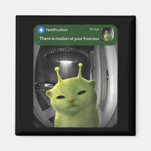 Es gibt Bewegung an der Vordertür Lustige Katze UF Magnet