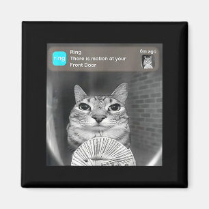 Es gibt Bewegung an der Vordertür lustiger Katzen- Magnet