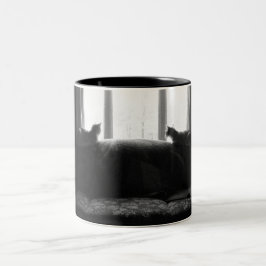 Es gibt etwas, das dort draussen besser ist zweifarbige tasse