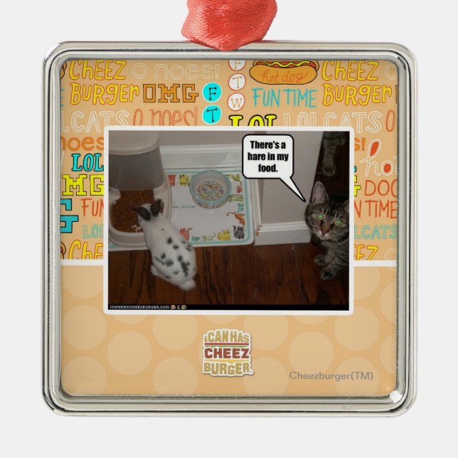 Es gibt Hasen in meiner Nahrung Silbernes Ornament (Vorne)