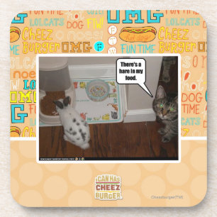 Es gibt Hasen in meiner Nahrung Untersetzer