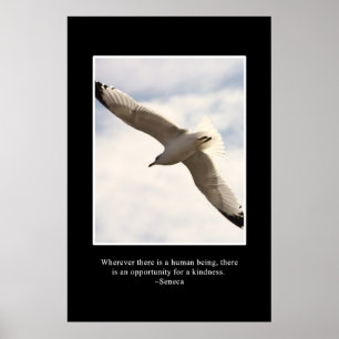 Es gibt immer eine Möglichkeit für Freundlichkeit Poster