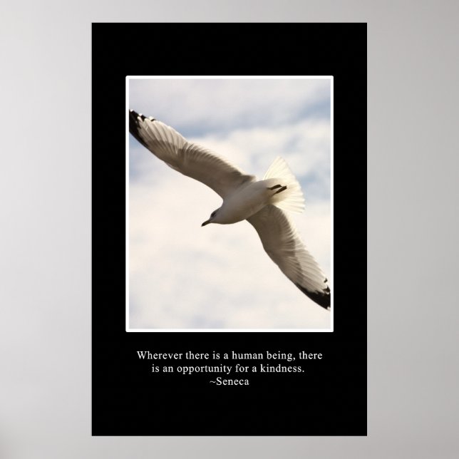 Es gibt immer eine Möglichkeit für Freundlichkeit Poster (Vorne)